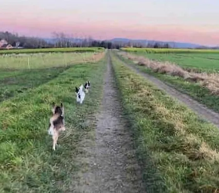 Kleines Paradies Am Deister - Fuer Euren Urlaub Mit Hund